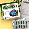 Hoạt Huyết T-Đình Ginko VT