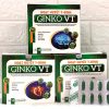 Hoạt Huyết T-Đình Ginko VT