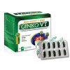 Hoạt Huyết T-Đình Ginko VT